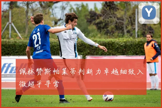 佩林赞斯帕莱蒂判断力卓越细致入微超乎寻常