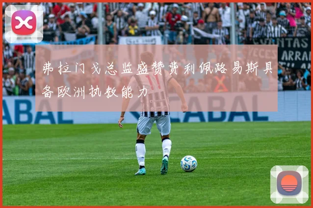 弗拉门戈总监盛赞费利佩路易斯具备欧洲执教能力