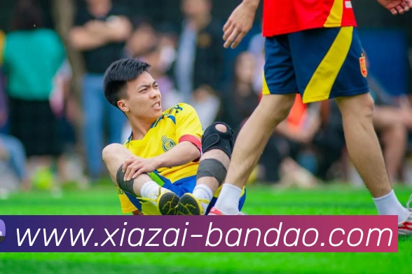 半岛体育全站App